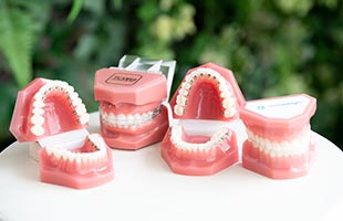 目立たない舌側矯正、マウスピース型矯正装置など様々な治療法からご提案