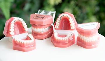 患者さんの要望を尊重した矯正治療の提供を